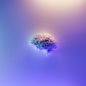 Memory Improvement